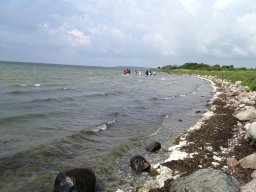 IMG_1364_web